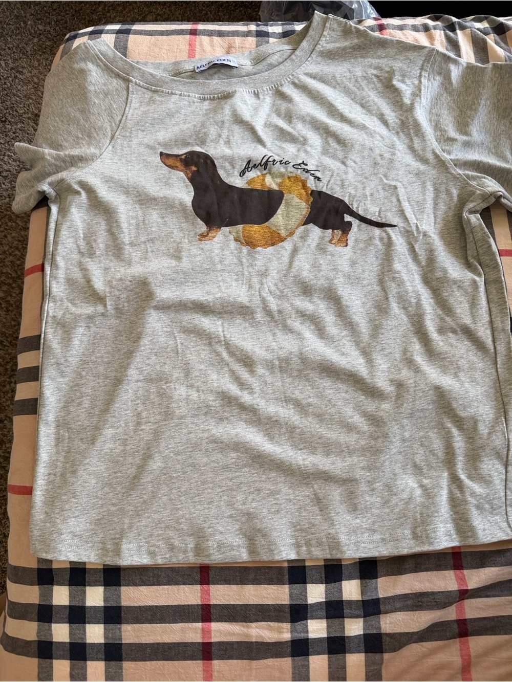 Aelfric Eden Light Gray Tee with Dachshund Graphic